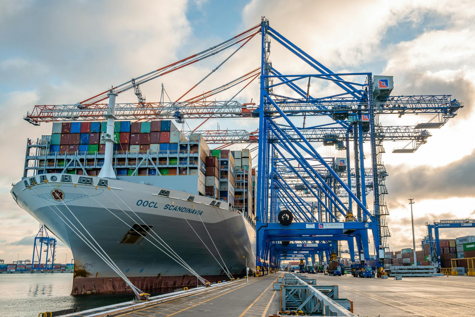 Container ship OOCL Scandinavia docked in Gdańsk harbor with cranes and cargo containers.