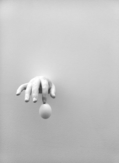 Free A hand reaching out to grab an egg Stock Photo