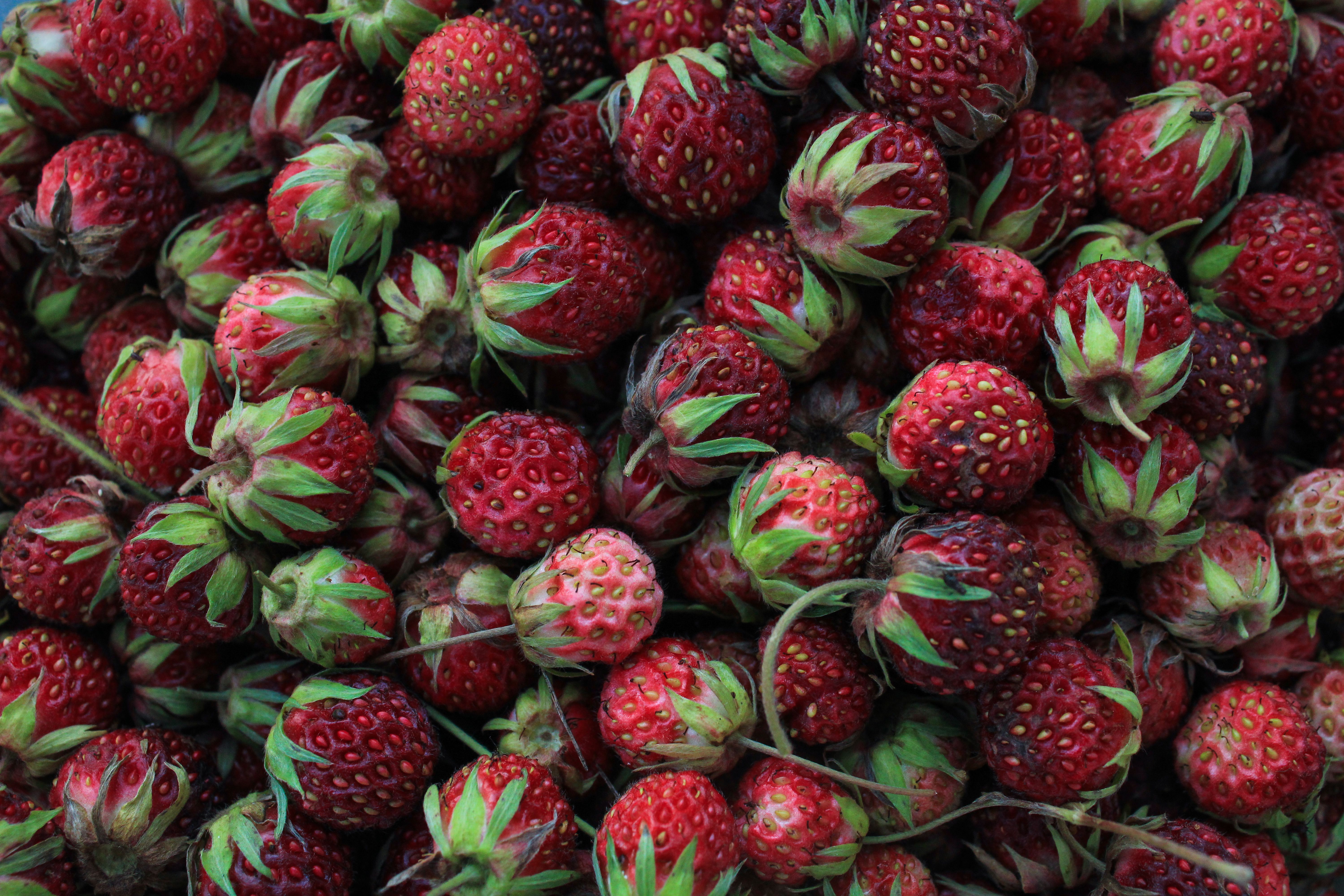 Pile of Strawberries · Free Stock Photo