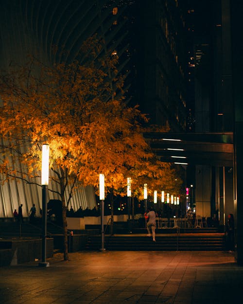 Foto profissional grátis de arquitetura contemporânea, árvores, centro da cidade