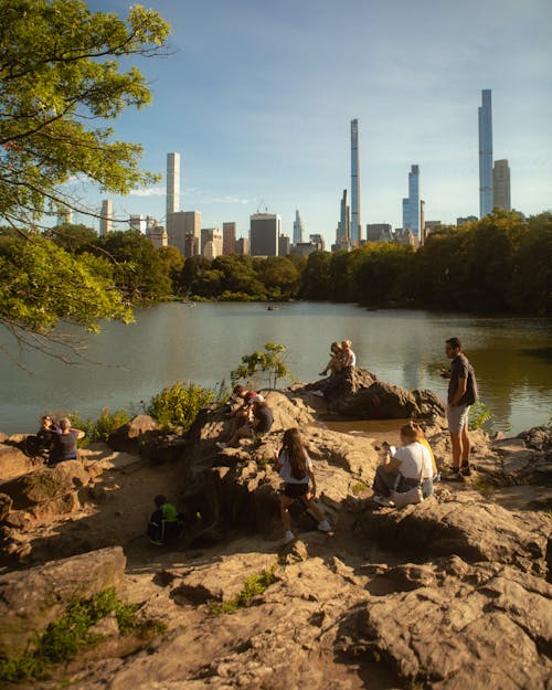 Foto d'estoc gratuïta de Central park, ciutat, ciutats