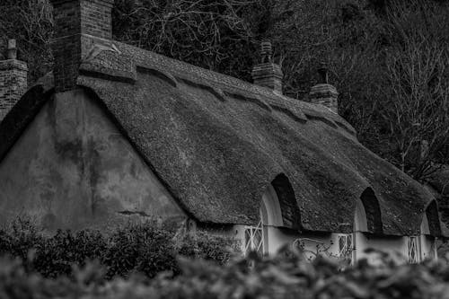 Roof of House in Village