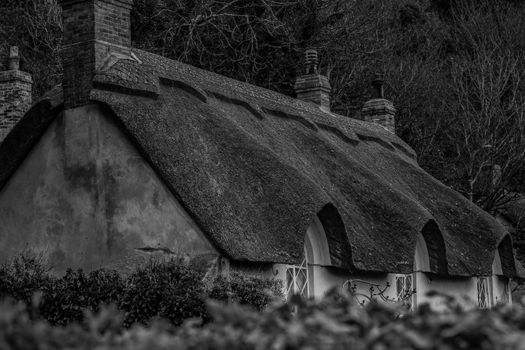A peaceful black and white photo of a rustic thatched roof cottage surrounded by trees.