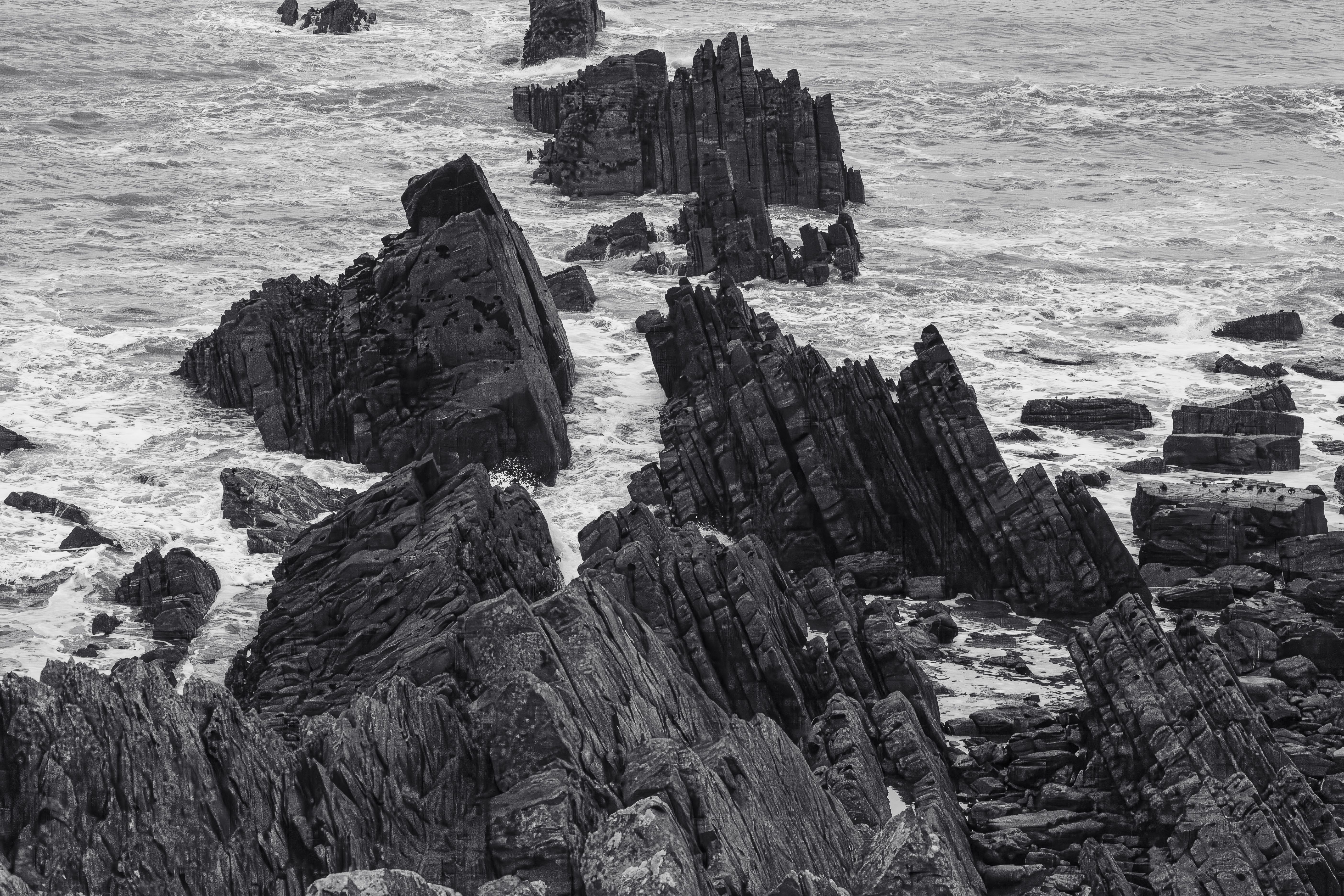 Barren Rocks on Sea Shore in Black and White · Free Stock Photo