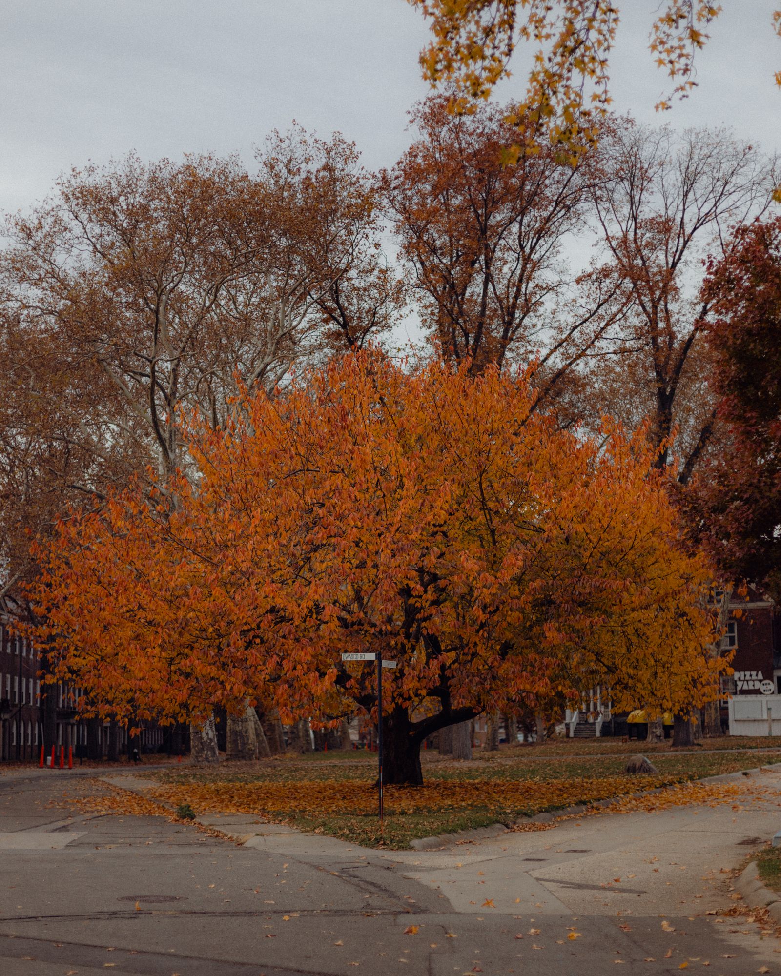 October in Ottawa: The Best Things to Do, Places to Visit, and Fall Activities