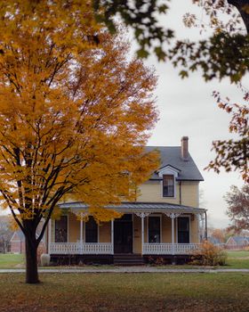 Peaceful rural scene with a charming yellow house surrounded by autumn leaves.