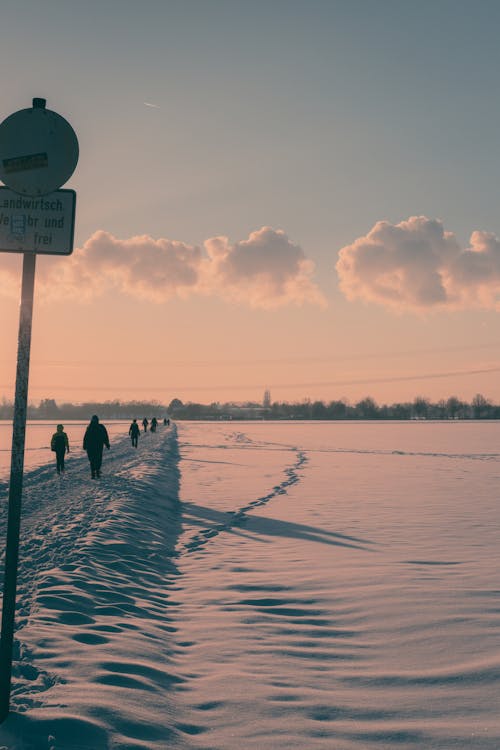 Základová fotografie zdarma na téma bílá, chůze, dopravní značka