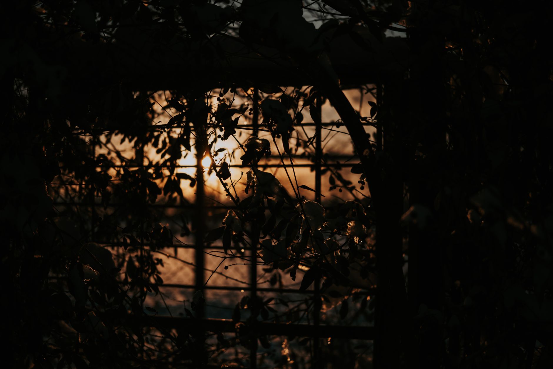 Beeindruckende Szene mit Sonnenuntergang & Dramatisch – Anime Art