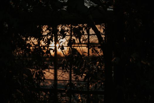 Beeindruckende Szene mit Sonnenuntergang & Dramatisch – Anime Art