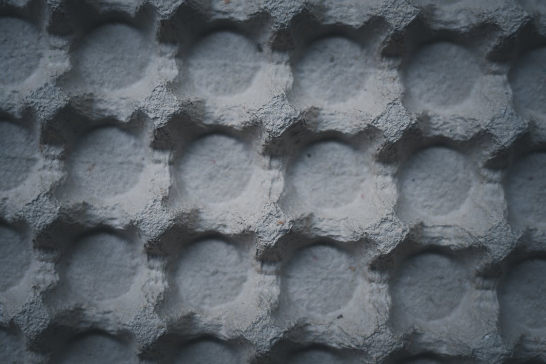 Close-up of an Empty Egg Tray 