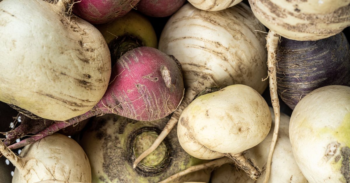 Close-up of assorted fresh turnips highlighting their natural textures in a rustic setting.
