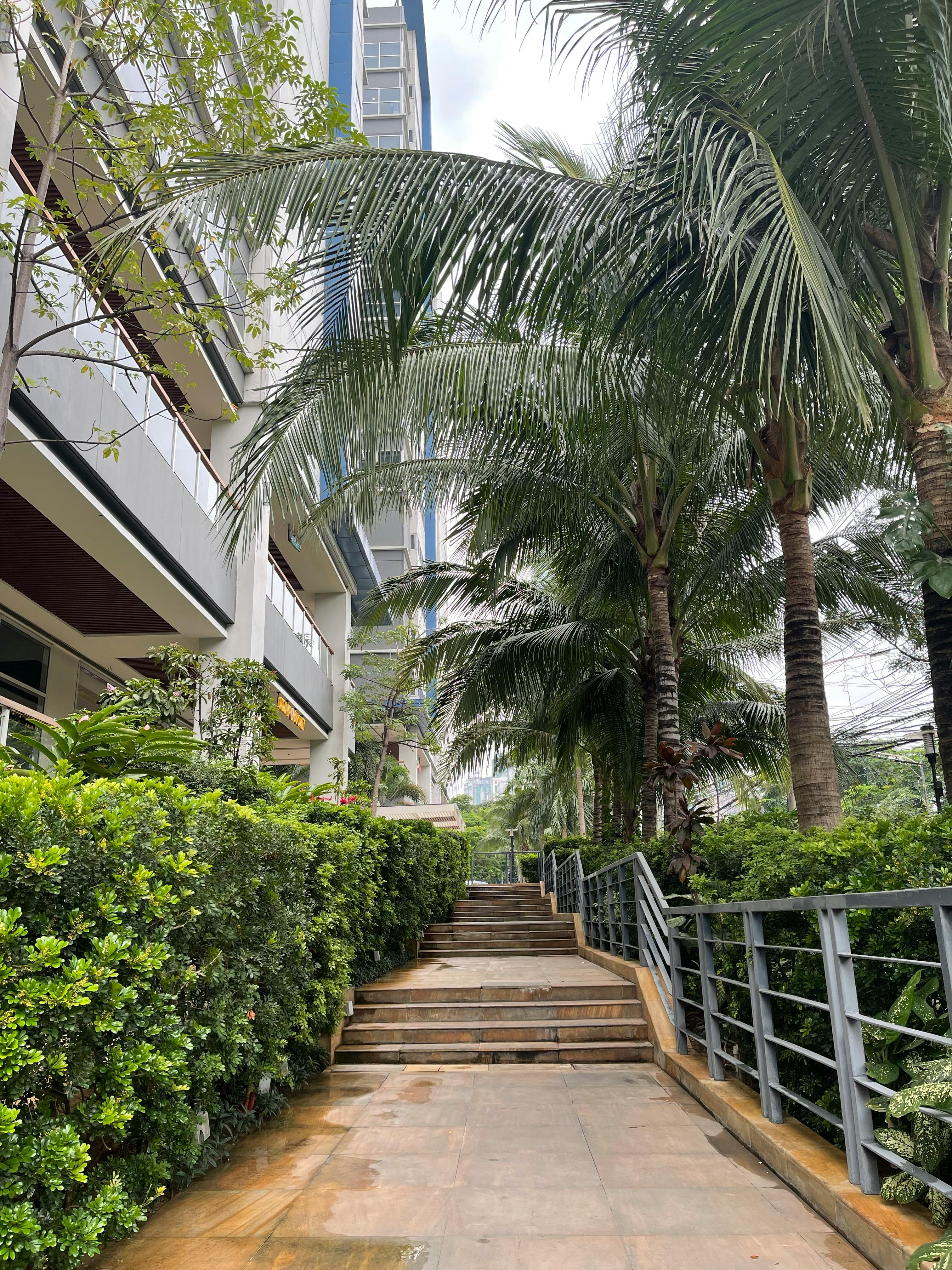A walkway leading to a building with palm trees and stairs.