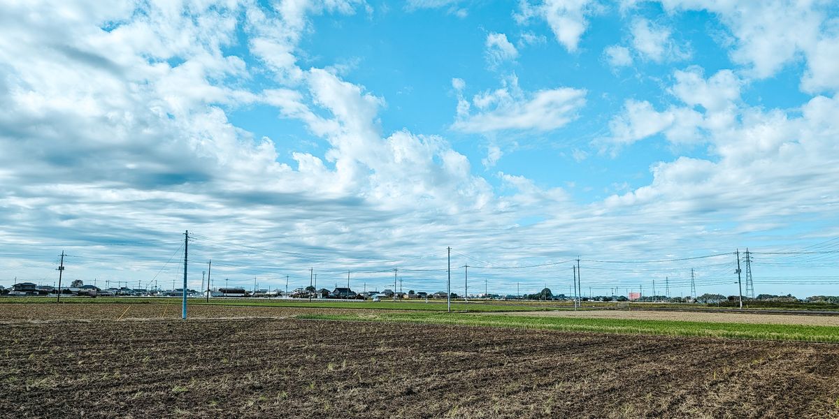 Wide shot of a rural landscape featuring fields and electric poles under a cloudy sky.