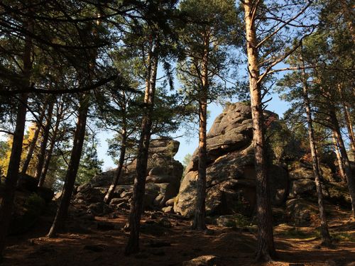 Free Dense forest in Krasnoyarsk, Russia, revealing eroded rocks and tranquil nature. Stock Photo