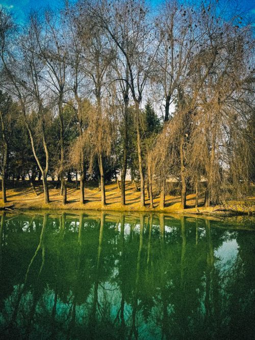 Free Beautiful autumn scene of trees reflecting on a calm lake in a park setting. Stock Photo