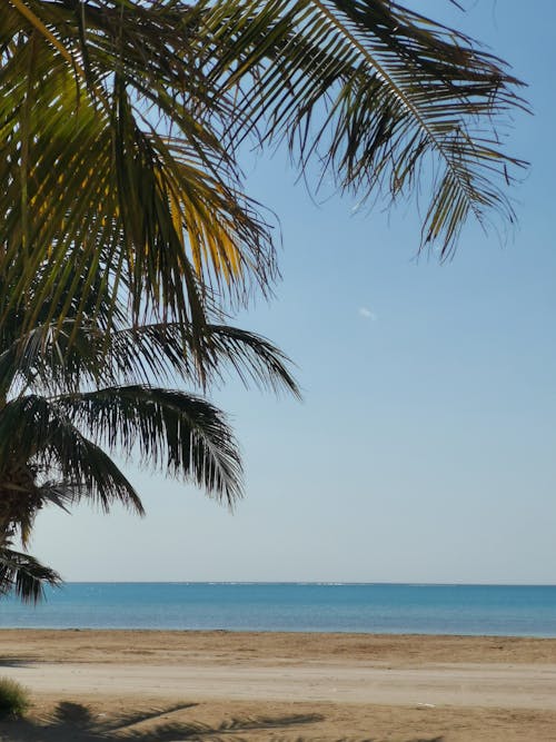 Clear Sky over Tropical Beach