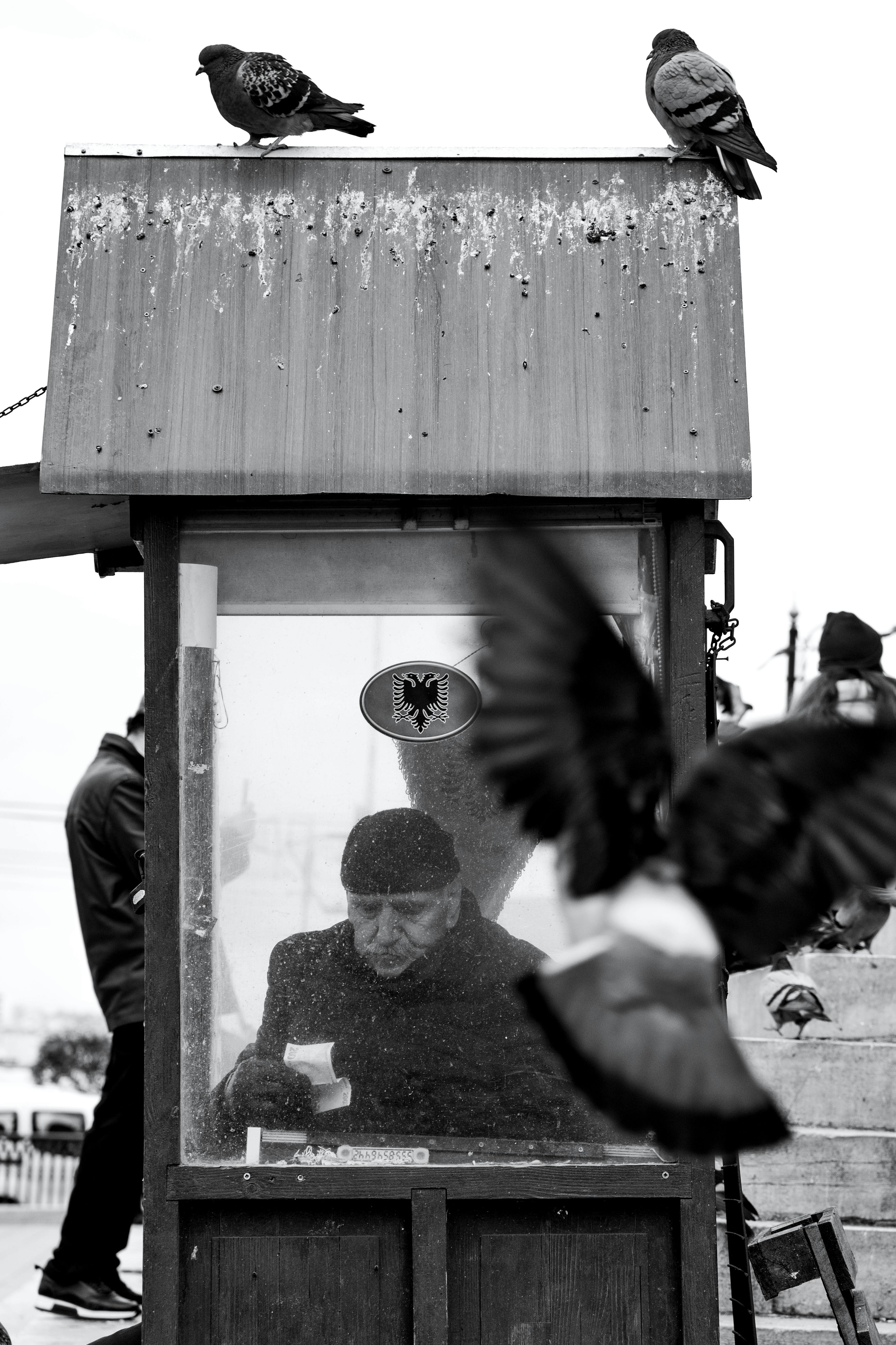 Black and white photo of a man in a guard hut surrounded by pigeons in an urban setting.