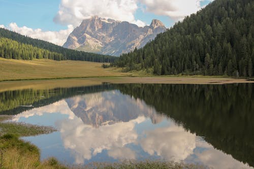 Darmowe zdjęcie z galerii z drzewa, góra, jezioro