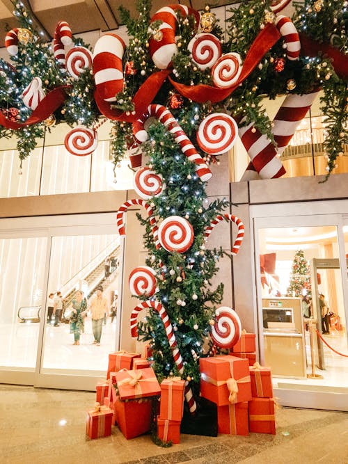 Immagine gratuita di Centro commerciale, decorazione, finestre