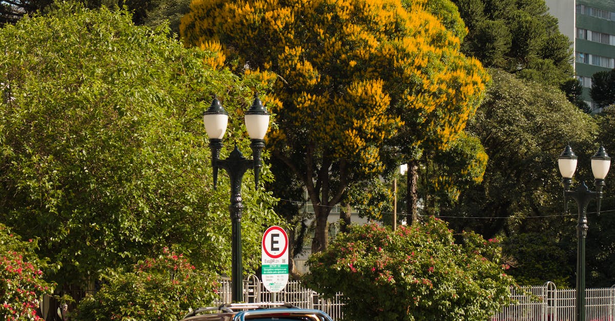 Fotos De Estúdio Profissionais Automotivas