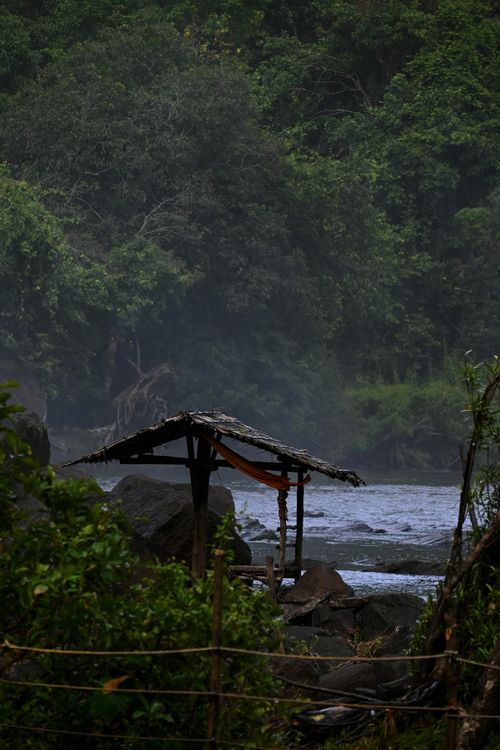 Free Cozy hut by a serene river surrounded by dense forest in Kochi, India. Perfect nature escape. Stock Photo