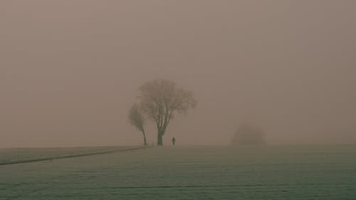 Man in fog 