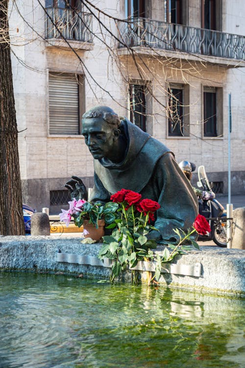 Foto profissional grátis de estátua, flor rosa, histórico