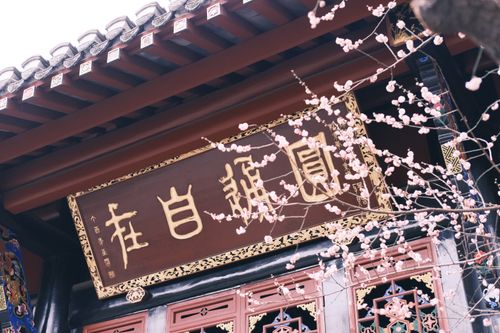 Free Spring cherry blossoms at Qingyang Palace in Chengdu, China. Stock Photo