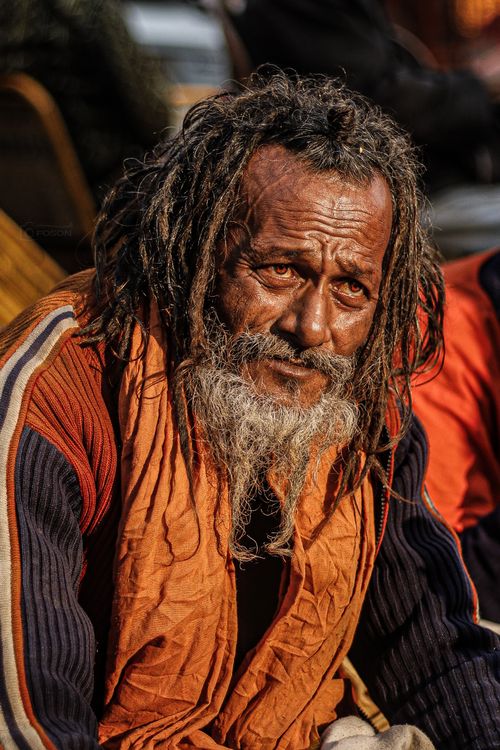 Free Close-up of a senior man with dreadlocks and a contemplative expression outdoors. Stock Photo