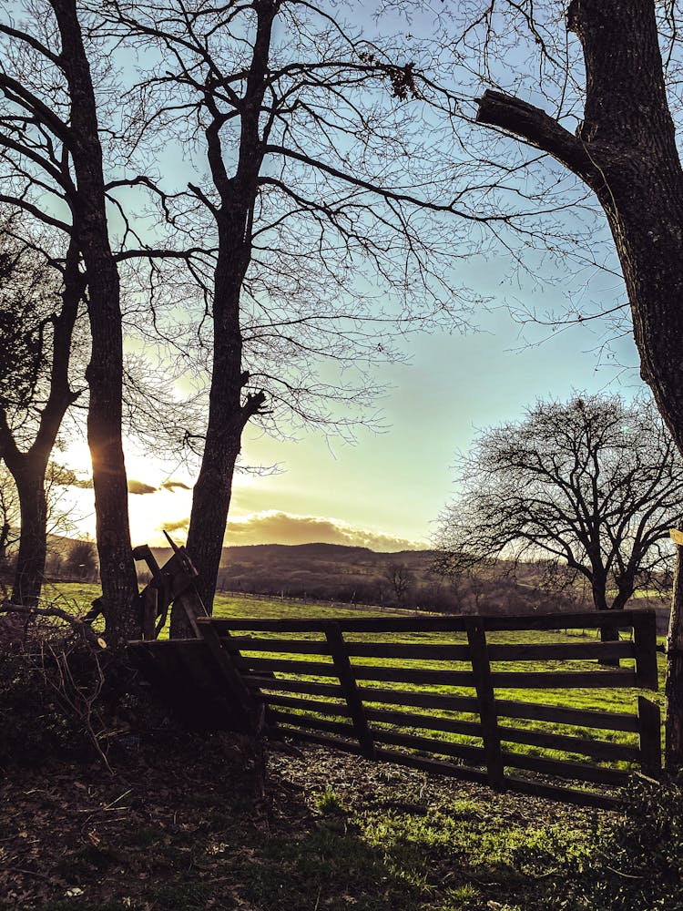 Gate In Countryside At Sunset