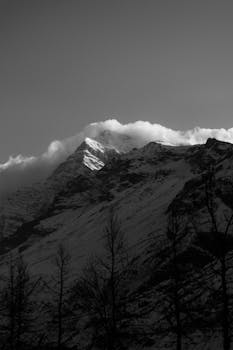 A captivating black and white view of a snowy mountain peak in Manali, surrounded by trees.