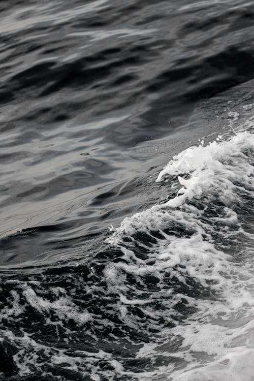 거품, 바다, 바탕화면의 무료 스톡 사진