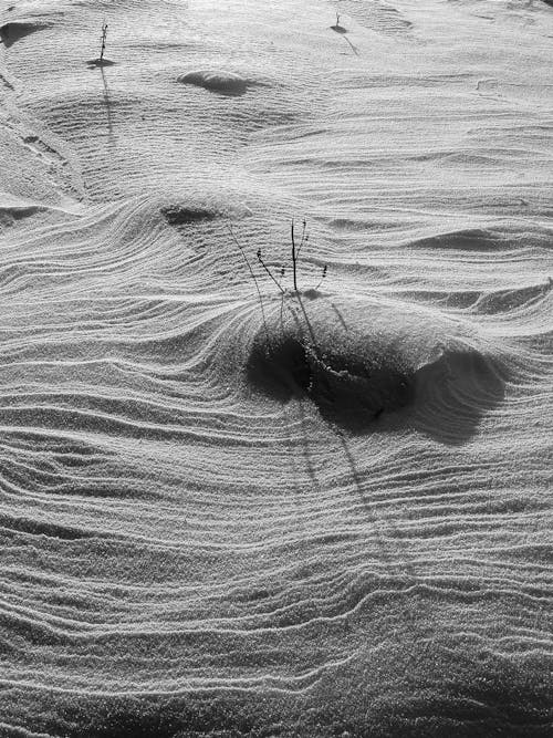 Бесплатное стоковое фото с вертикальный выстрел, дюна, морщины
