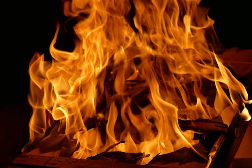 A Burning Firewood