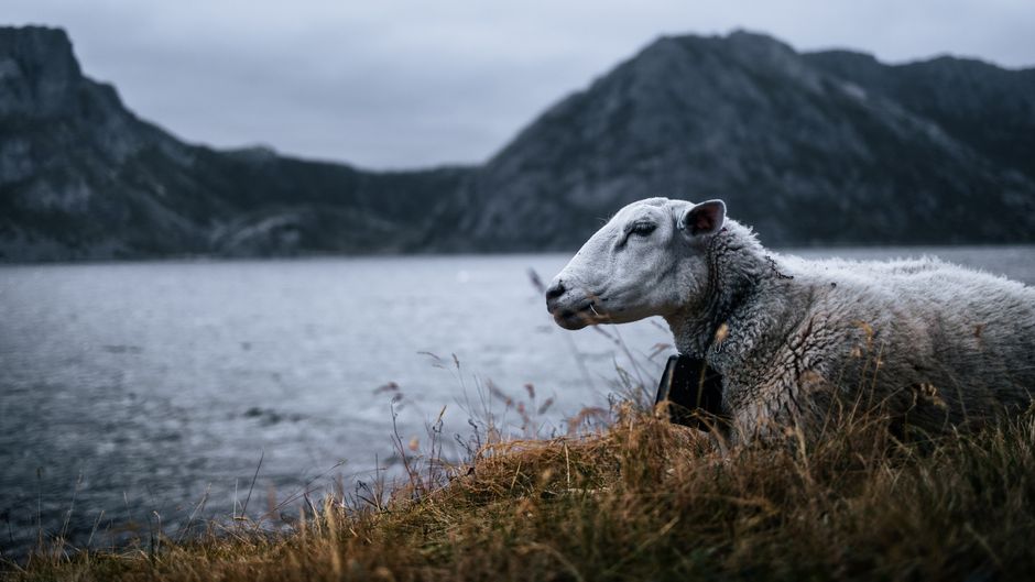 Foto de Atolón de Baa