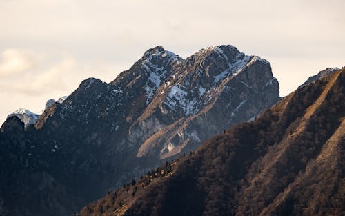 Fotobanka s bezplatnými fotkami na tému Alpy, béžová, cestička