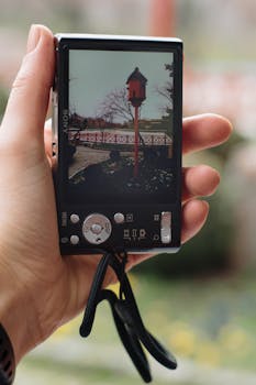 A hand holds a camera showcasing a birdhouse in a park setting. Selective focus highlights details.