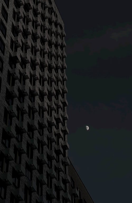 달, 도시, 도시들의 무료 스톡 사진