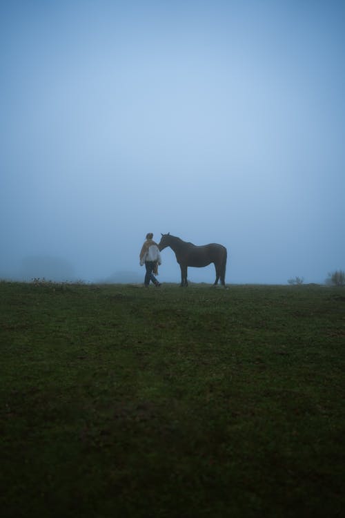 Person with Horse on Pasture under Fog