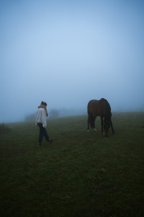 Woman with Horse on Grassland under Fog