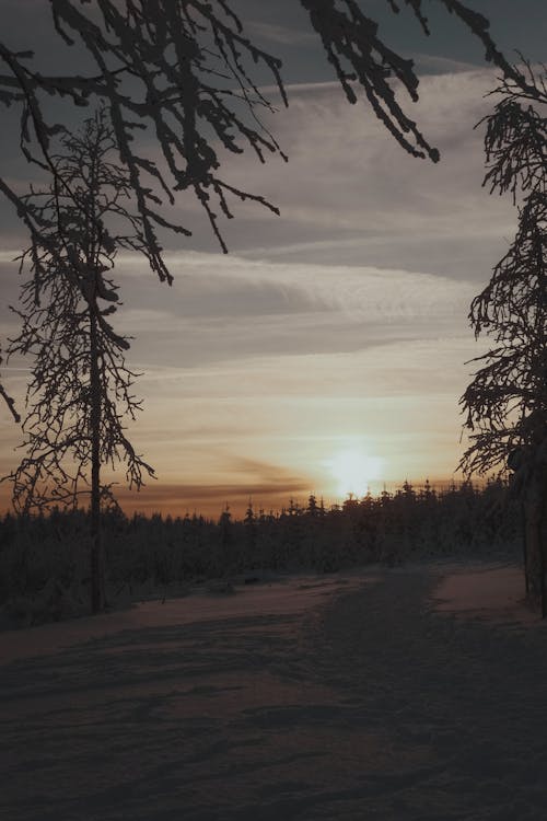 Kostenloses Stock Foto zu außerorts, kalt, natur