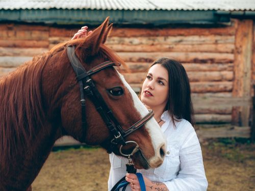 Free Portrait of a young woman in a white shirt with a brown horse outdoors in Slovakia. Stock Photo