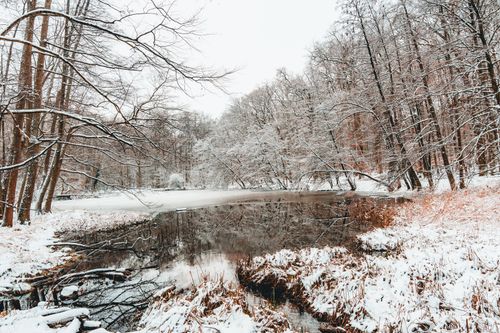 Free A tranquil winter scene of a snow-covered forest with a calm reflective lake, capturing the essence of nature's beauty. Stock Photo