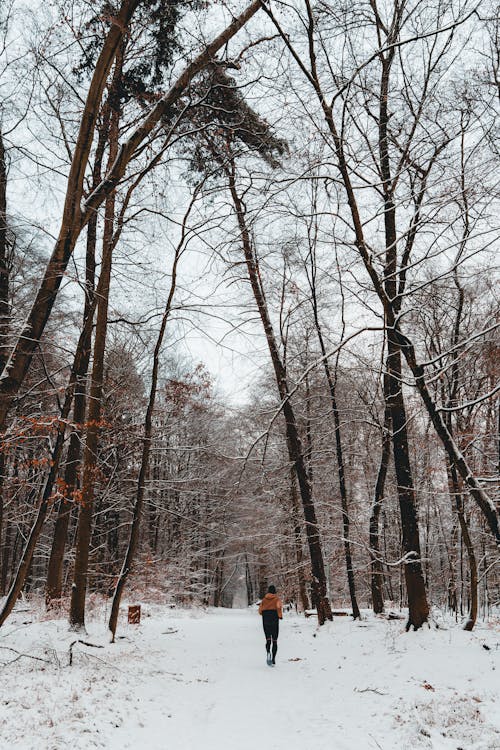 Woman on a Path in a Forest in Winter 
