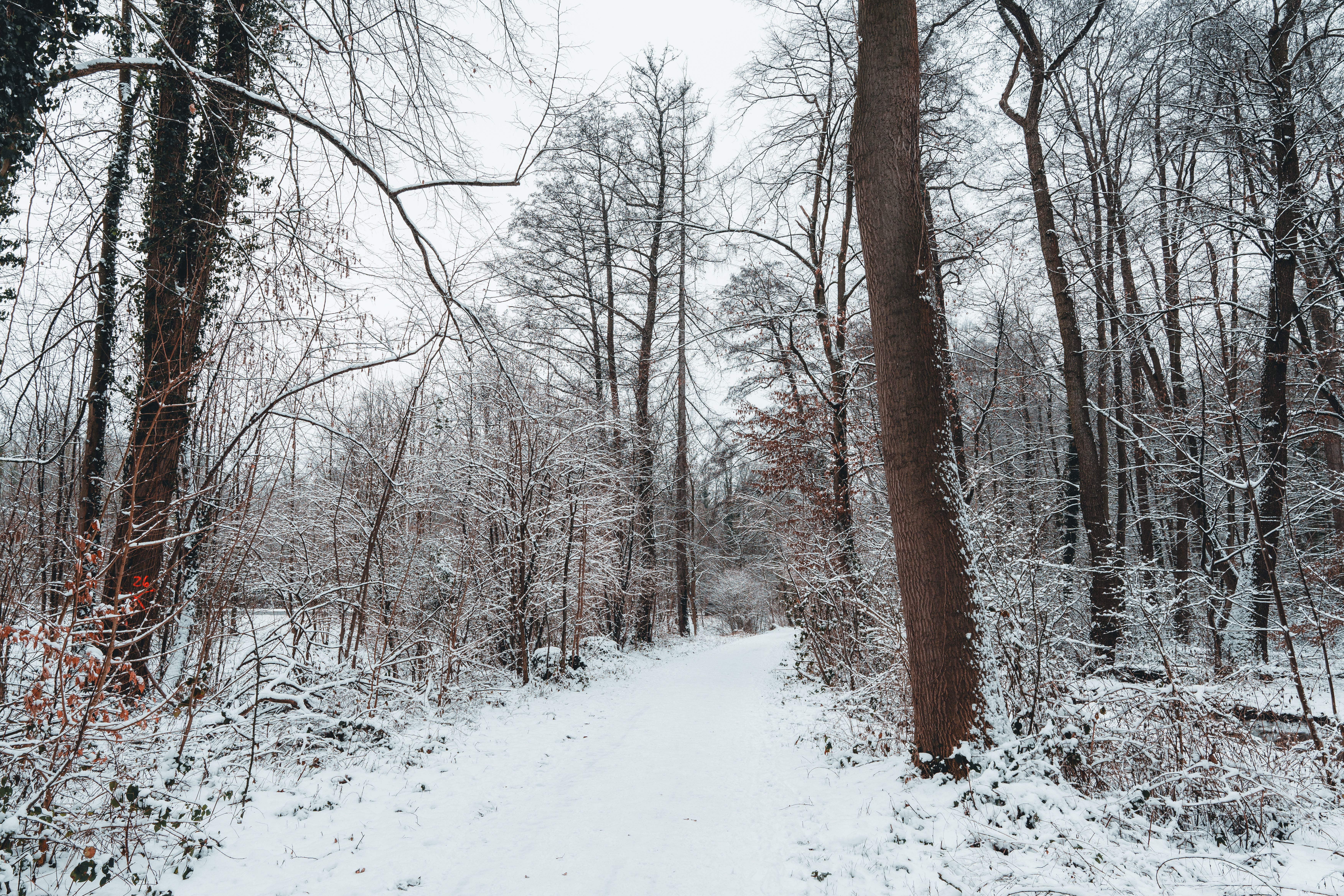 Bruges Winter Packing List: What to Pack for December, January and February