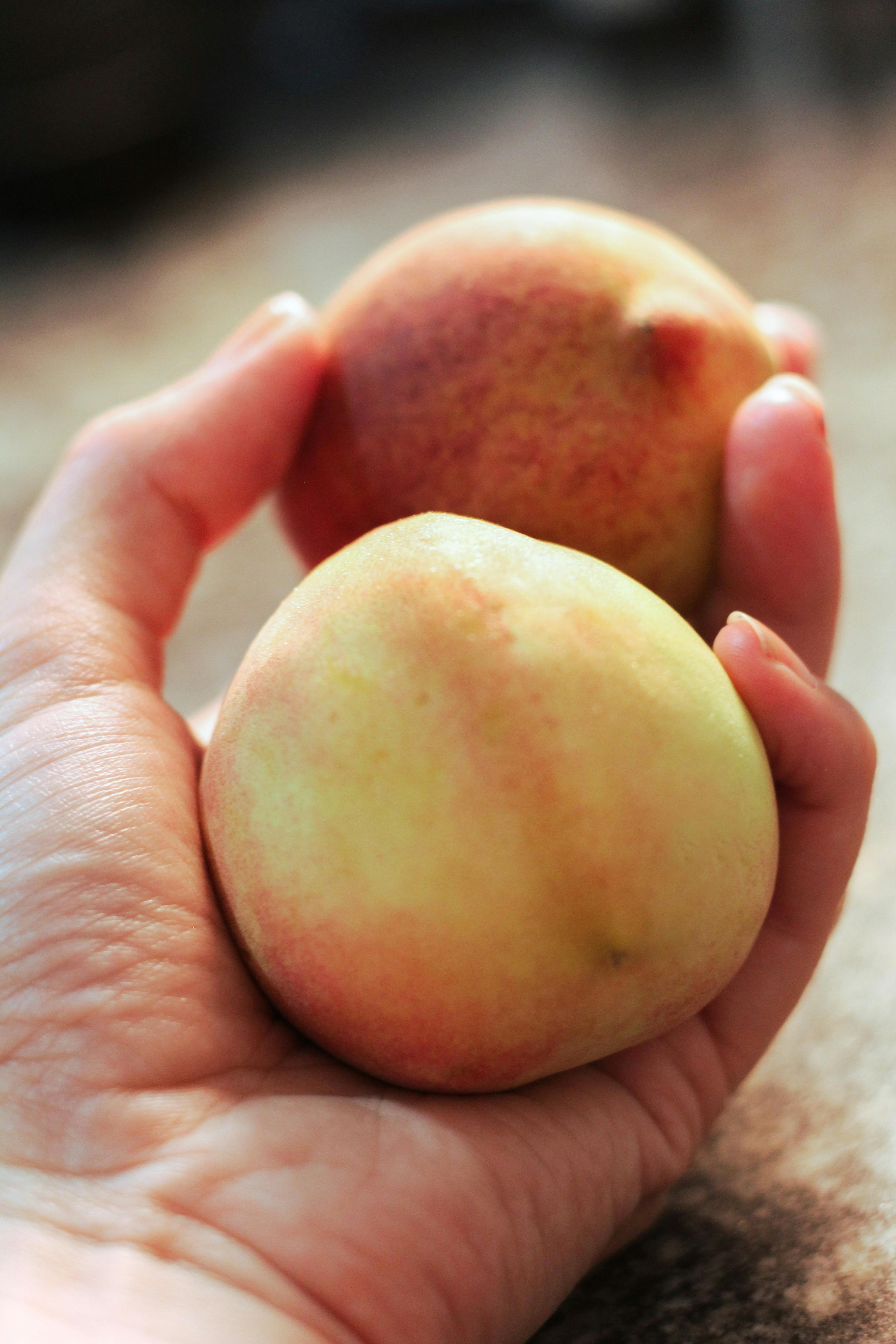 What Clinical Trials Have Explored Nopals Effects On Heart Health? What Clinical Trials Have Explored Nopals Effects On Heart Health?