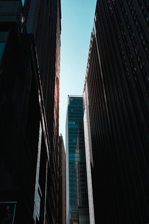 Free High Rise Buildings  Stock Photo