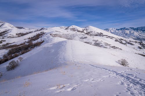 Бесплатное стоковое фото с белый, зима, пейзаж