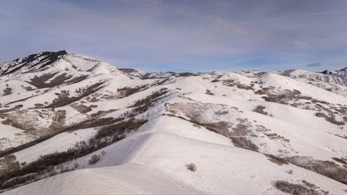 Бесплатное стоковое фото с белый, зима, пейзаж