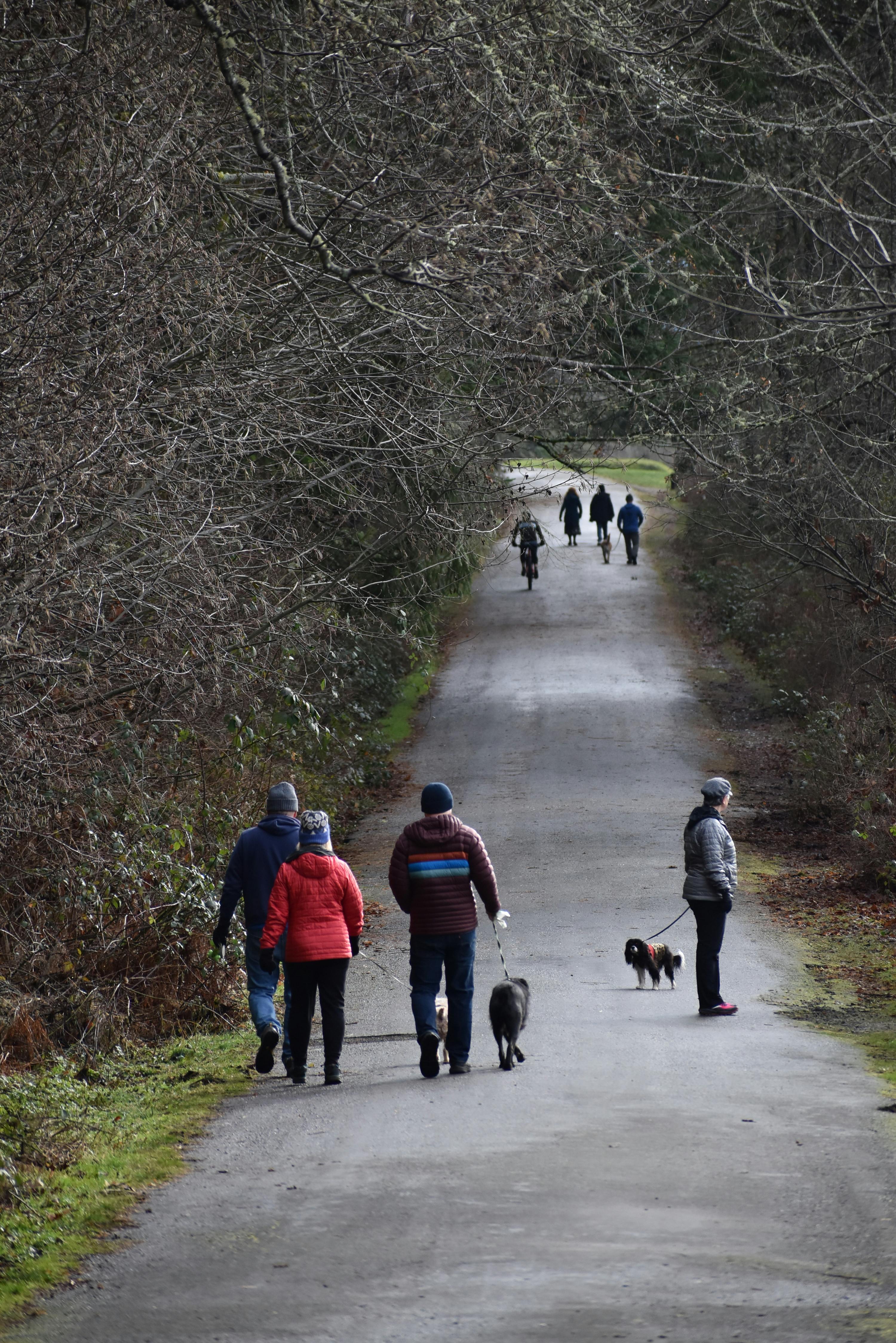 Why Do Some Dogs Have Drier Noses? Exploring Variations in Canine Health
